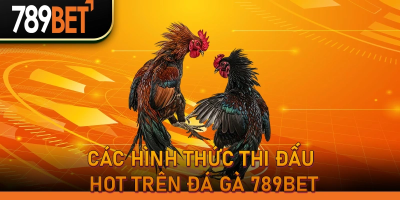 Các hình thức thi đấu hot trên Đá Gà 789BET