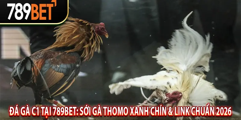 Đá Gà C1 Tại 789BET: Sới Gà Thomo Xanh Chín & Link Chuẩn 2026