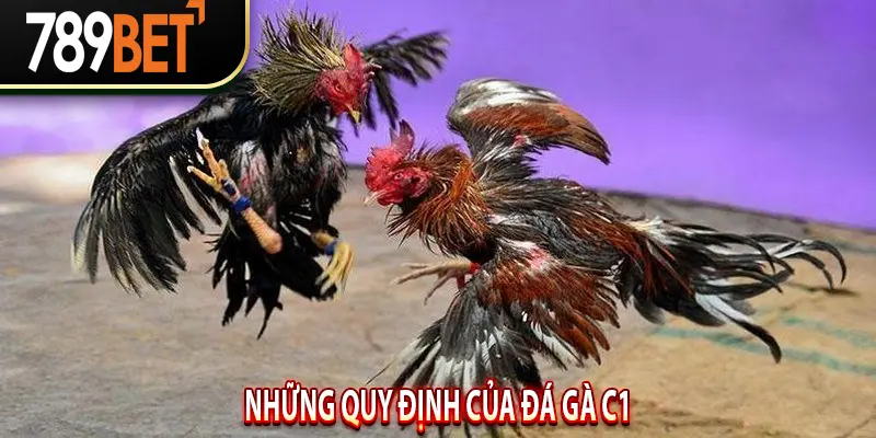 Những quy định của Đá Gà C1