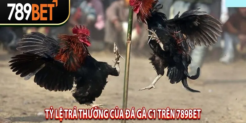 Tỷ lệ trả thưởng của Đá Gà C1 trên 789BET